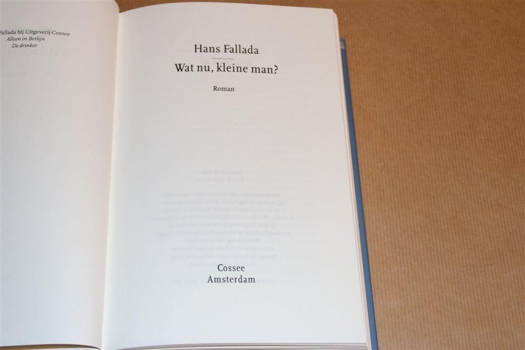 Wat nu, kleine man? — Fallada — Roman Weimarrepubliek, Ophalen of Verzenden, Gelezen