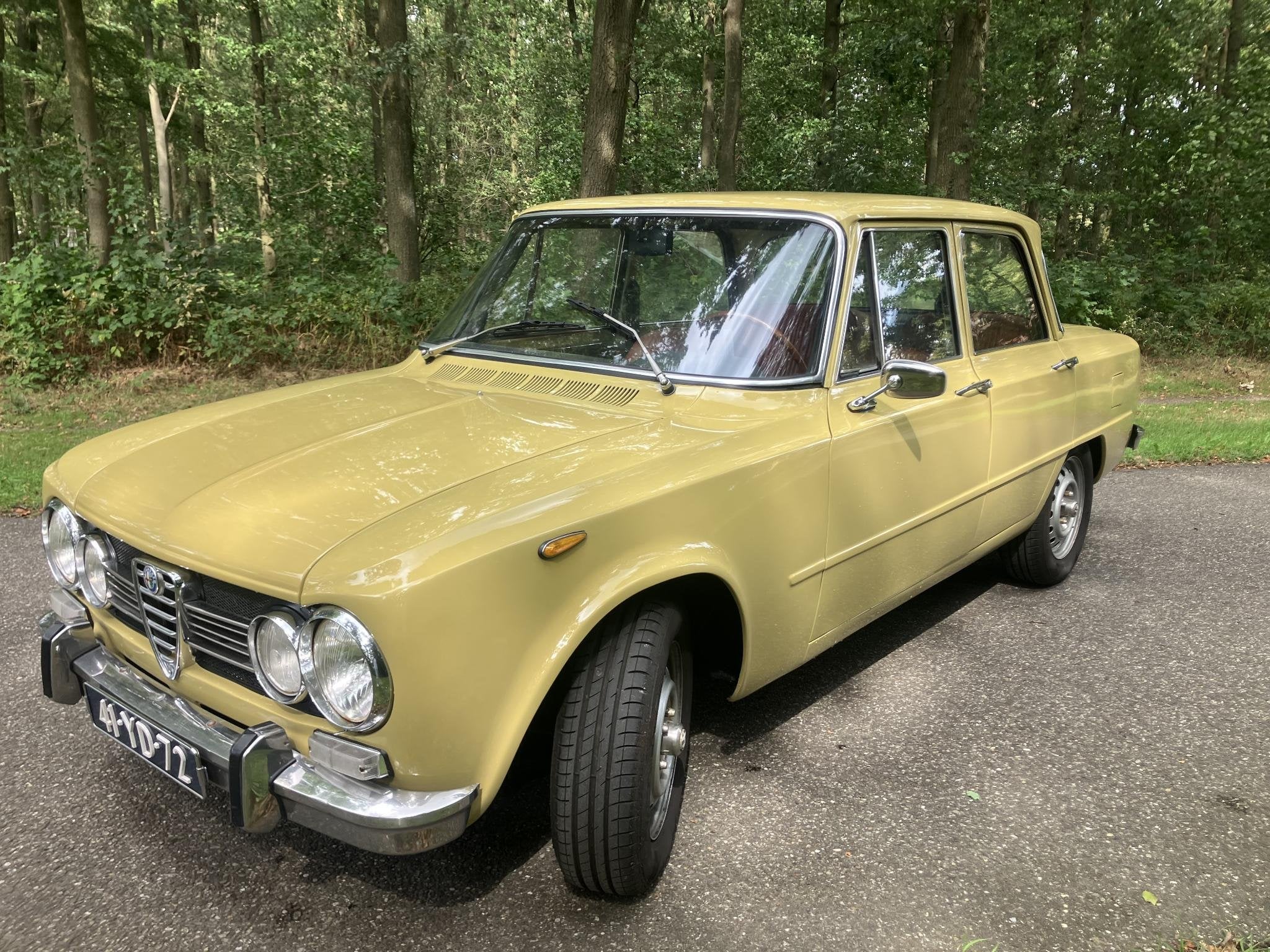 Alfa romeo Giulia 1300 super 1300 Super, foto 10