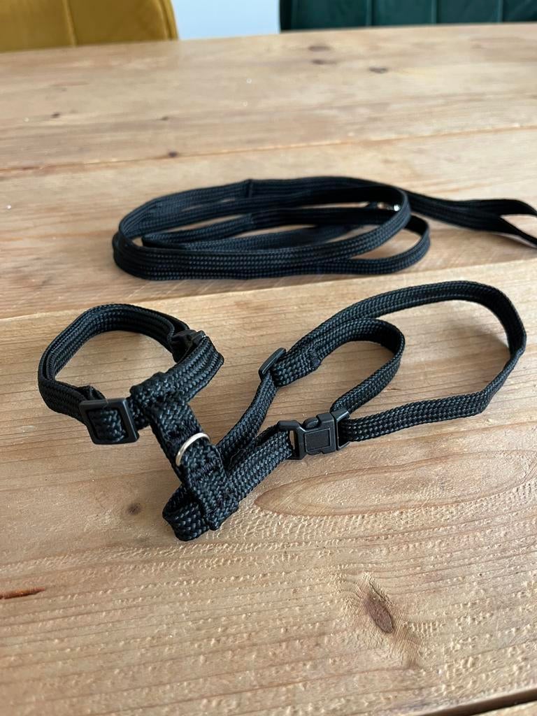 Nieuw kattentuigje zwart, Dieren en Toebehoren, Katten-accessoires, Ophalen of Verzenden, Nieuw