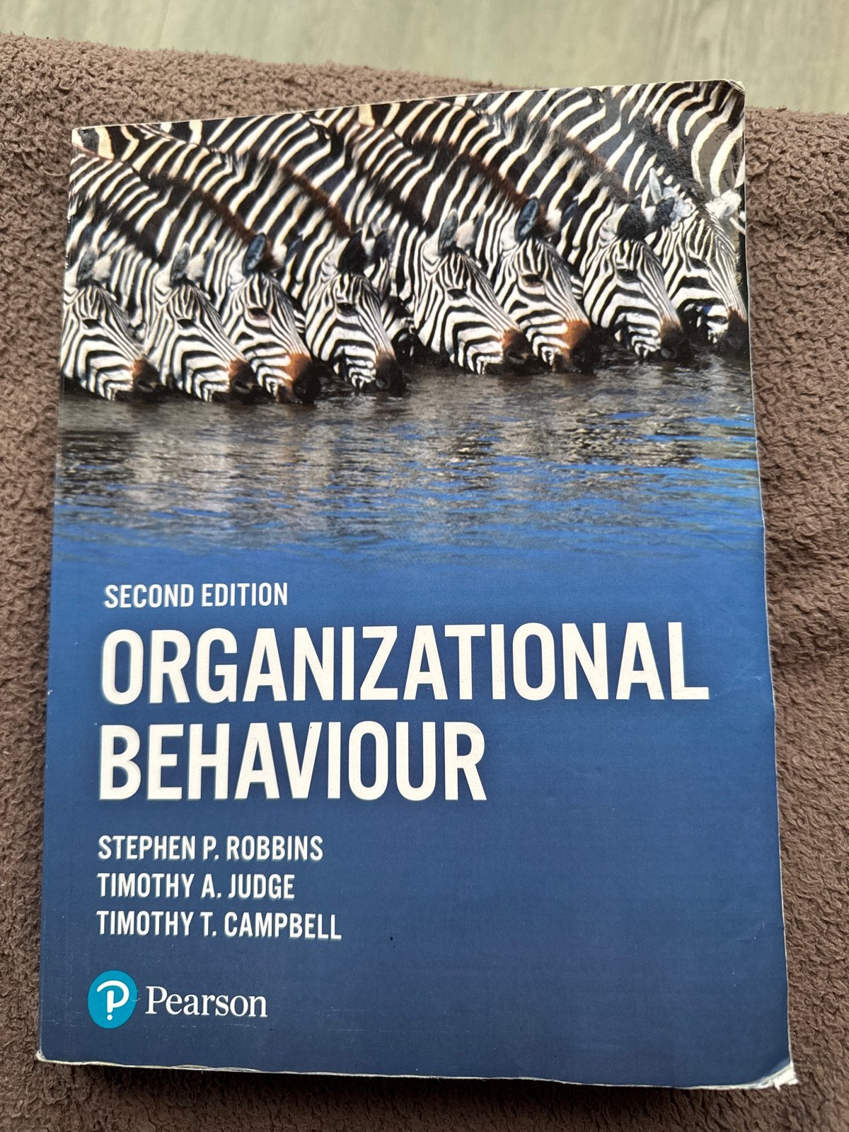Organizational Behaviour - Stephen P. Robbins (2nd Edition), Ophalen of Verzenden, Gamma, Gelezen, WO