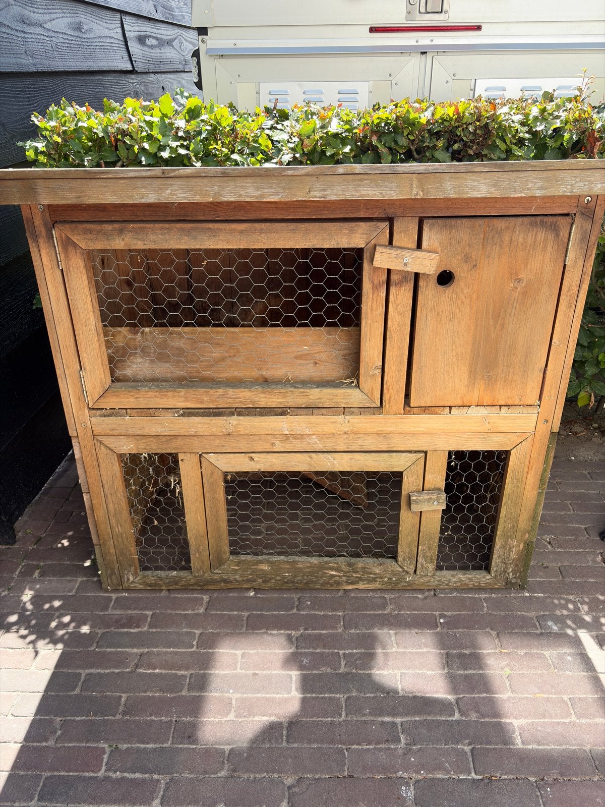 Cavia hok, Dieren en Toebehoren, Ophalen, Overige typen