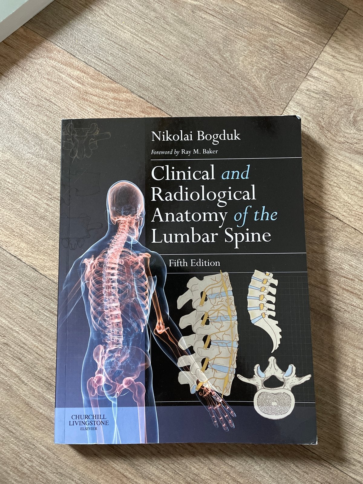 Clinical and Radiological Anatomy of the Lumbar Spine, Boeken, Studieboeken en Cursussen, Ophalen of Verzenden, Beta, Zo goed als nieuw