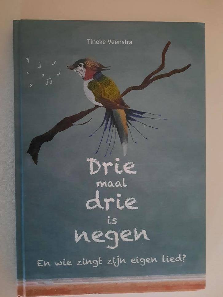 Drie maal drie is negen . Tineke Veenstra, Achtergrond en Informatie, Spiritualiteit algemeen, Tineke Veenstra, Ophalen of Verzenden