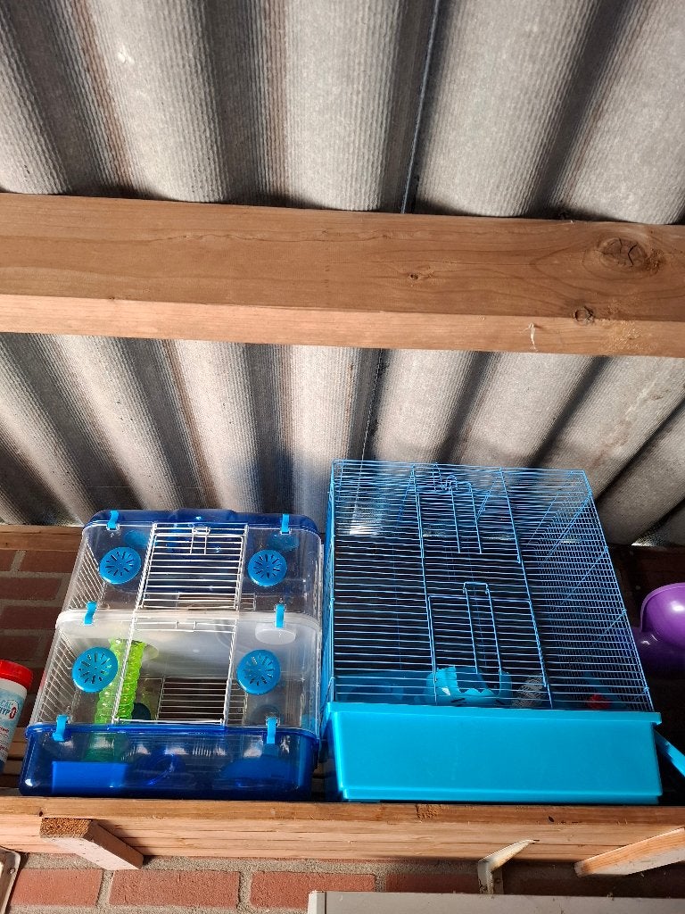 Hamster kooien, Kooi, Gebruikt, Minder dan 75 cm, Hamster