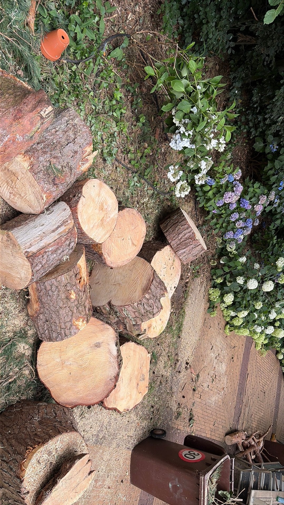 GRATIS dennenhout ophalen, Tuin en Terras, Haardhout, Minder dan 3 m³, Ophalen