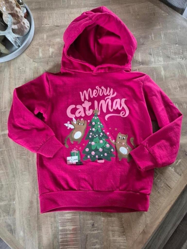 Mooie kersttrui maat 116/122, Kinderen en Baby's, Ophalen of Verzenden, Nieuw, Meisje, Trui of Vest