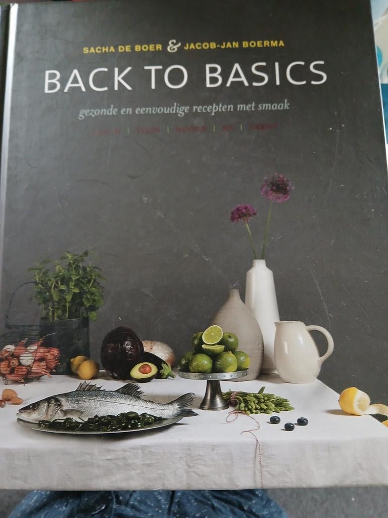 Back to basics-Sacha de Boer/Jacob Jan Boerma, Ophalen of Verzenden, Gelezen