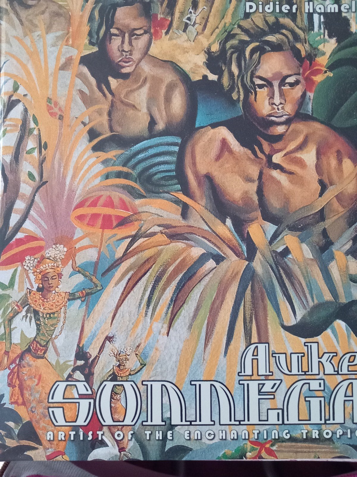 Auke Sonnega - Artist of the enchanted tropics, Didier Hamel, Ophalen of Verzenden, Zo goed als nieuw, Schilder- en Tekenkunst