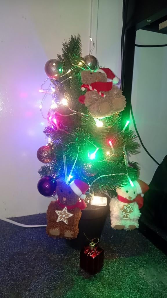 Mini Kerstboom met decoratie, Ophalen