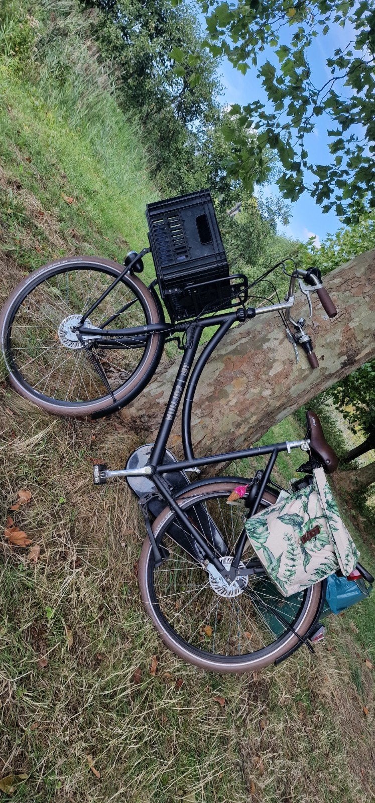 Elektrische fiets voor onderdelen (zonder tassen/mand), Ophalen of Verzenden