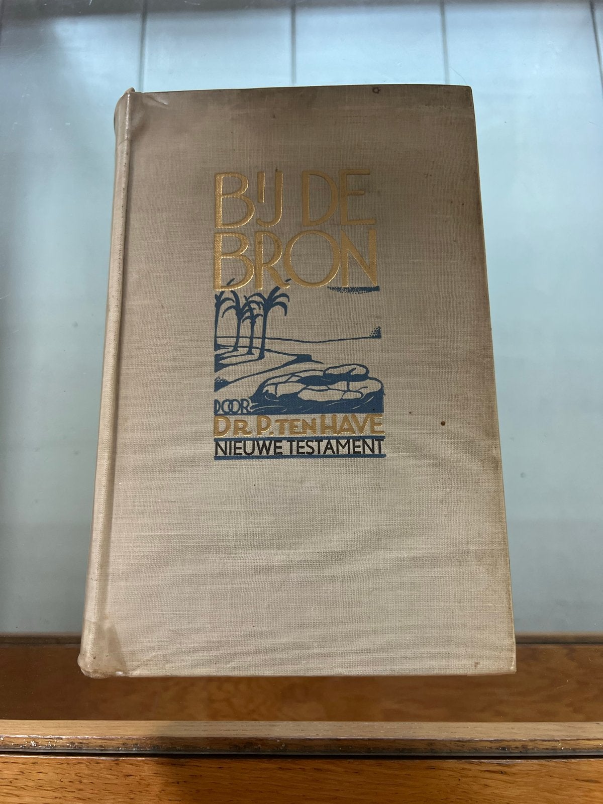 Bij de Bron - Dr. P. Ten Have - Nieuwe Testament, Antiek en Kunst, Antiek | Boeken en Bijbels, Ophalen of Verzenden