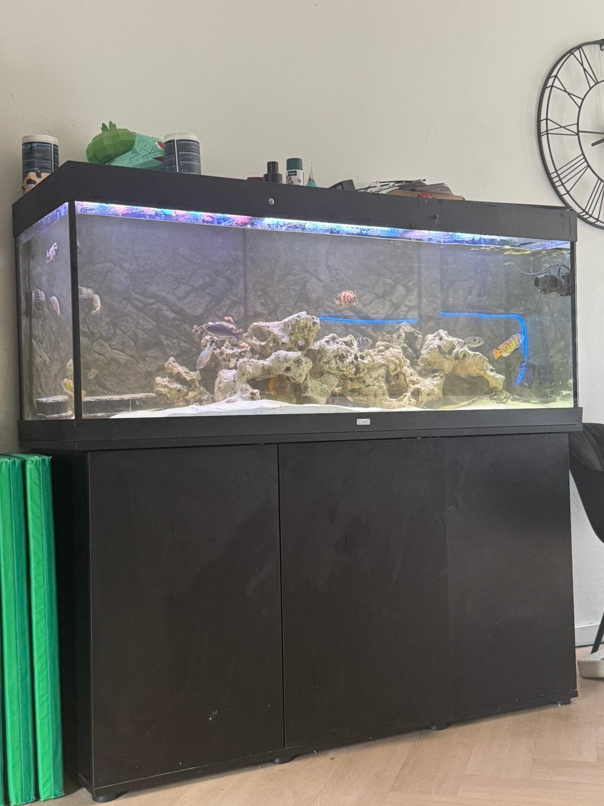 Prachtige Juwel Rio 450 Compleet | Helialux LED, Ophalen, Zo goed als nieuw, Gevuld zoetwateraquarium
