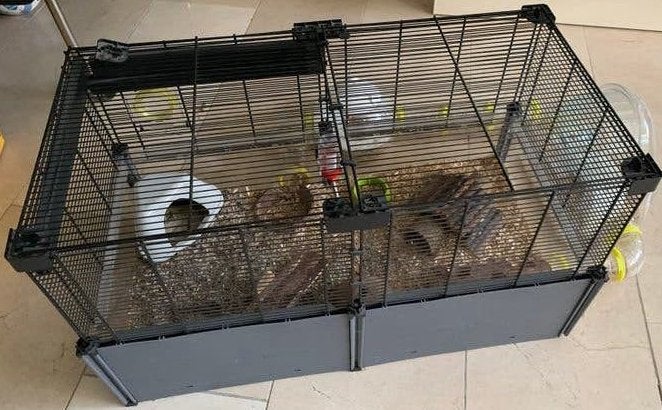 Kunststof kooi, verblijf en accessoires (knaagdier/hamster), Dieren en Toebehoren, Kooi, Gebruikt, Minder dan 75 cm, Chinchilla