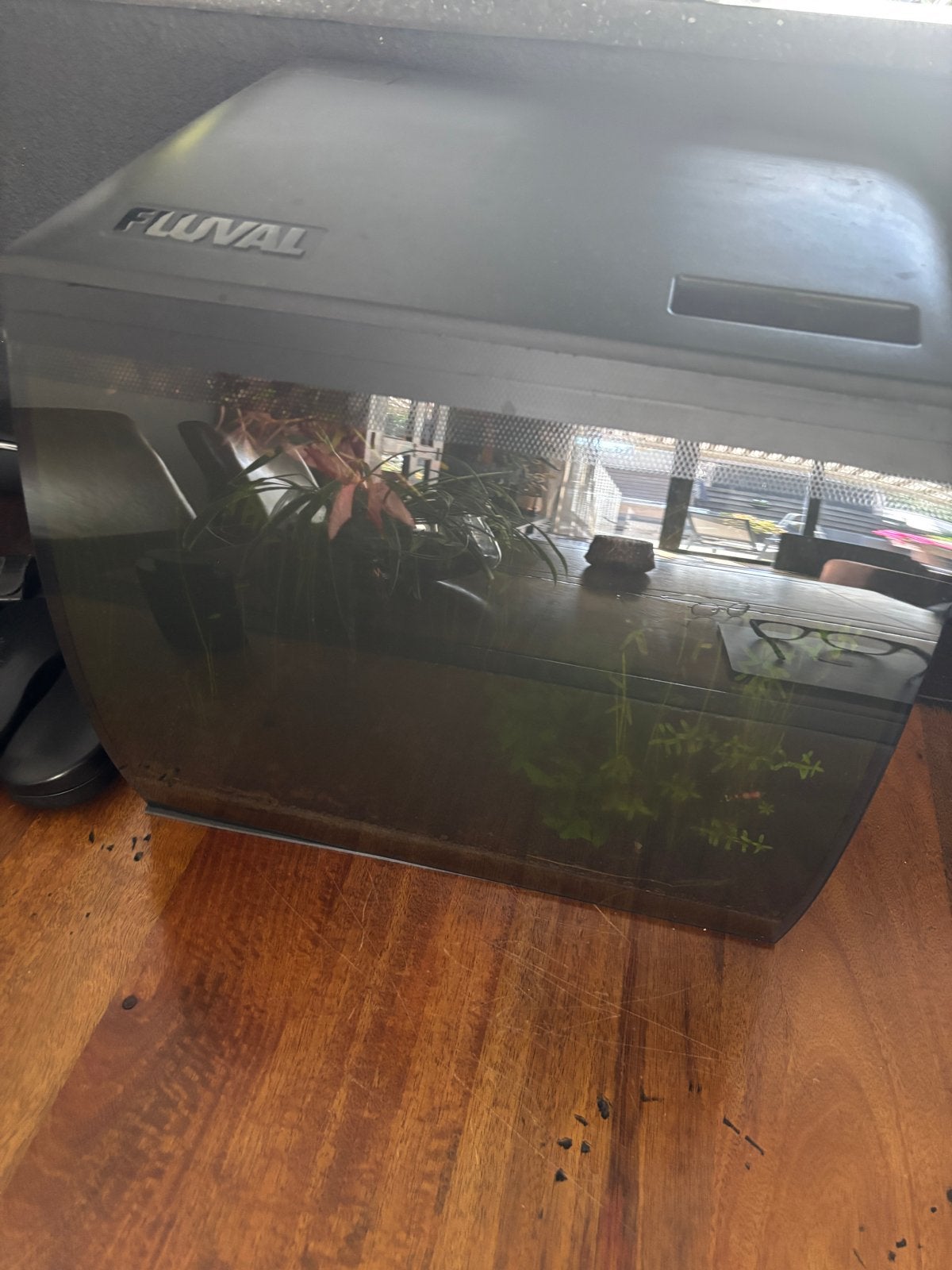 Fluval Flex 57 liter, Dieren en Toebehoren, Ophalen