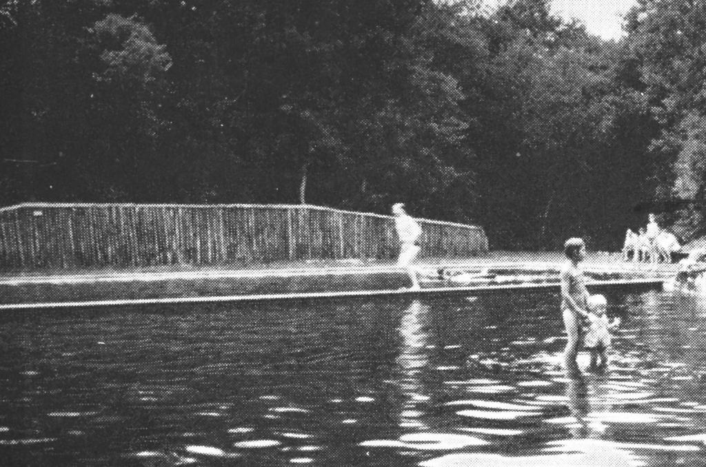983725 Nieuw Milligen Rabbit Hill Gld 1963  Zegel Koeltorens, Ophalen of Verzenden, 1960 tot 1980, Gelopen, Gelderland