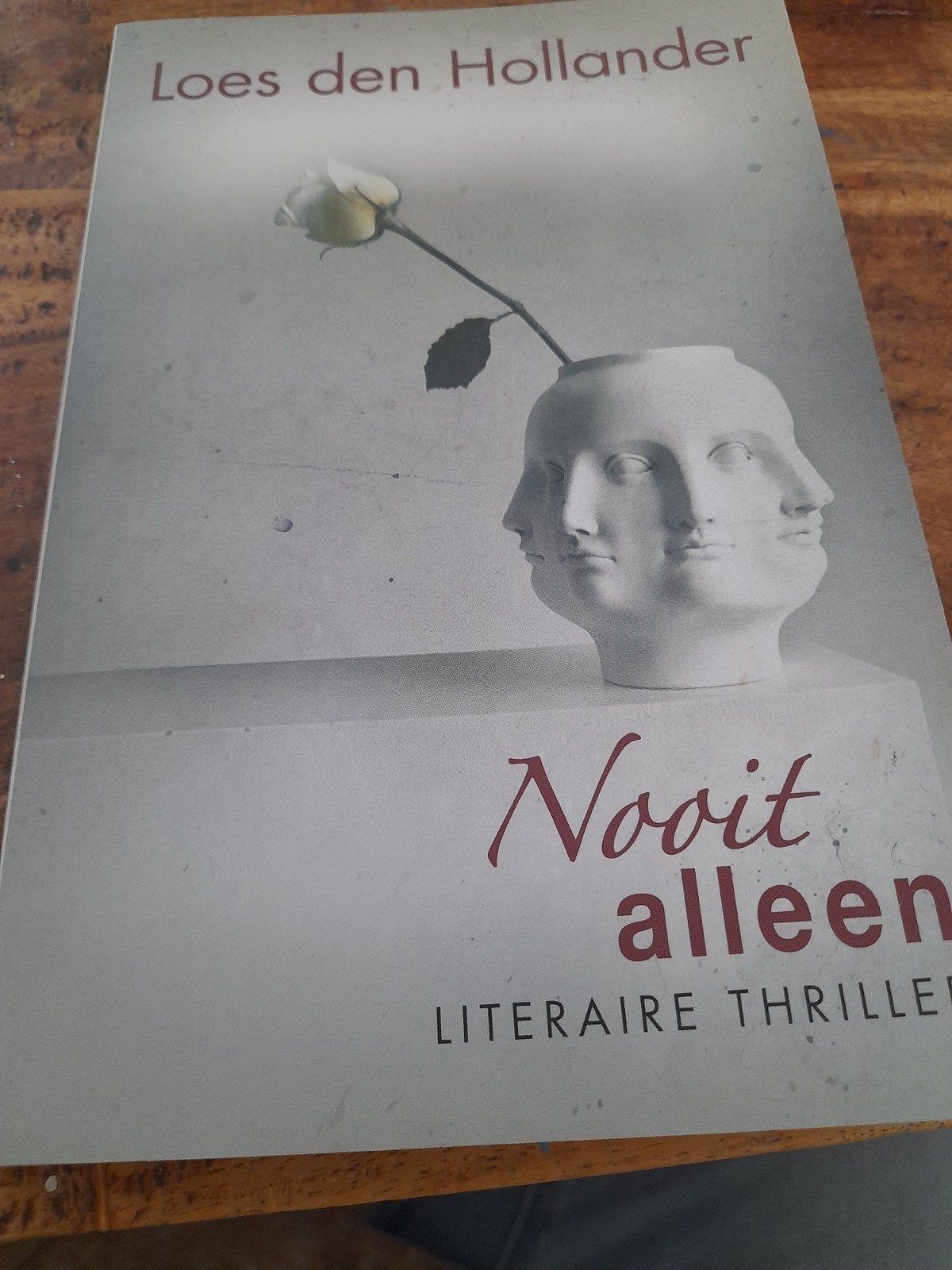 Nooit alleen - Literaire thriller van Loes den Hollander, Ophalen of Verzenden, Gelezen, Loes den Hollander