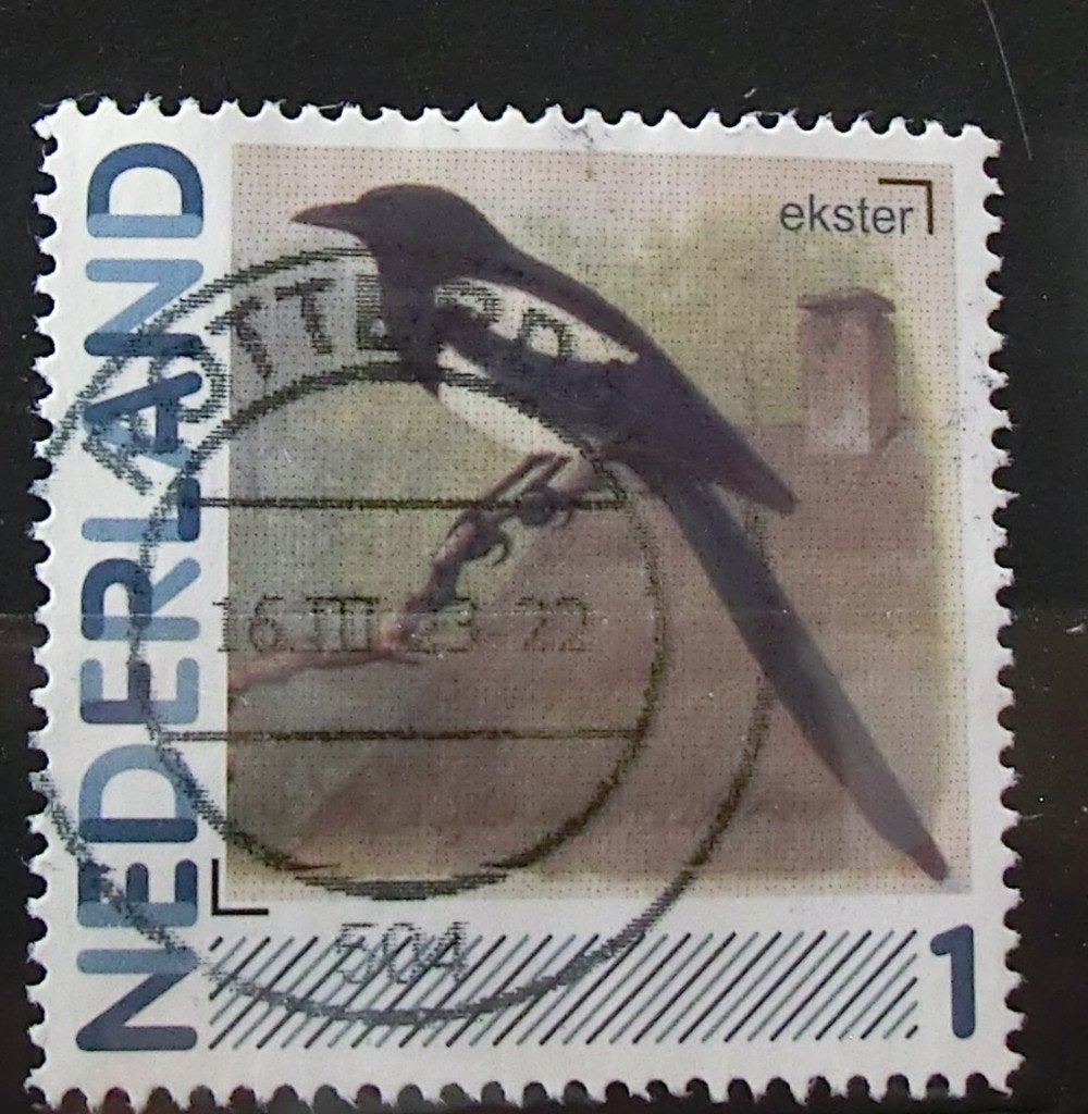 persoonlijke postzegel, Vogels, gest (lees aub), Ophalen of Verzenden, Na 1940, Gestempeld