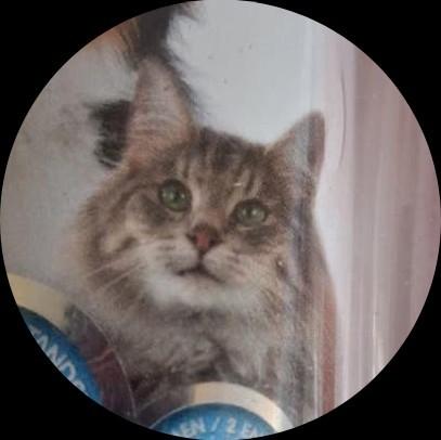 Katten tandenborstel + Tandpasta, Ophalen of Verzenden, Nieuw