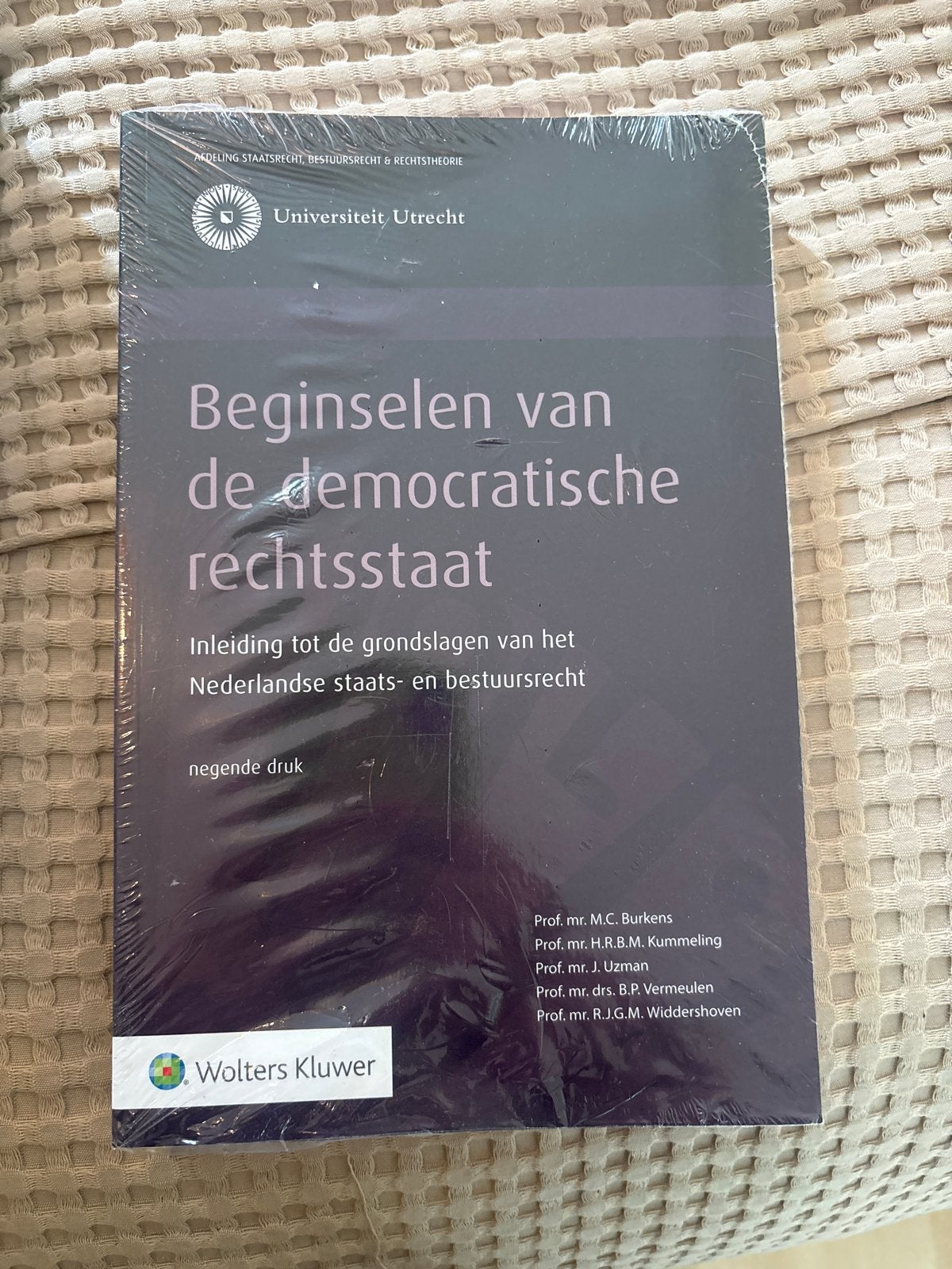 Beginselen van de democratische rechtsstaat, Boeken, Ophalen of Verzenden, Nieuw