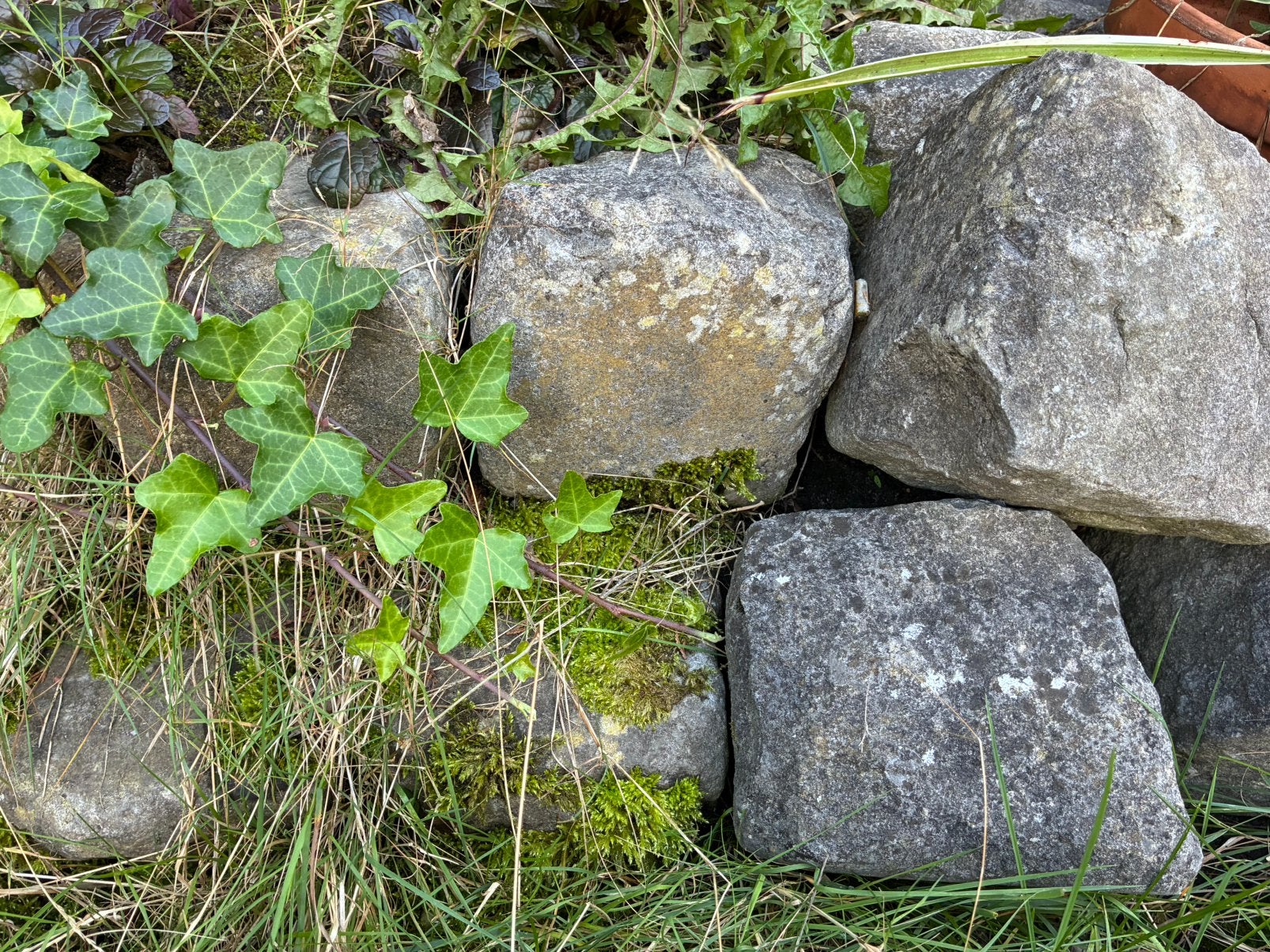 Kinderkopjes stenen gratis, Tuin en Terras, Ophalen, Gebruikt
