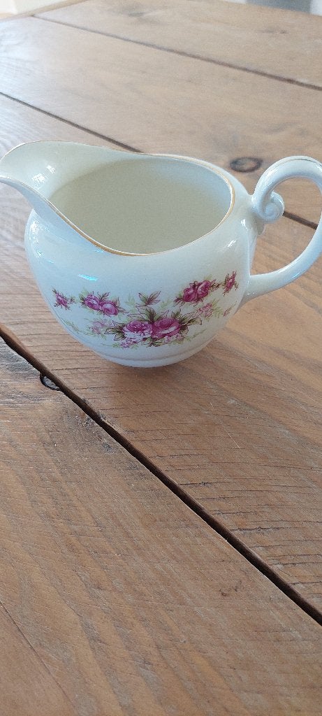 Servies petrus regout, Ophalen of Verzenden