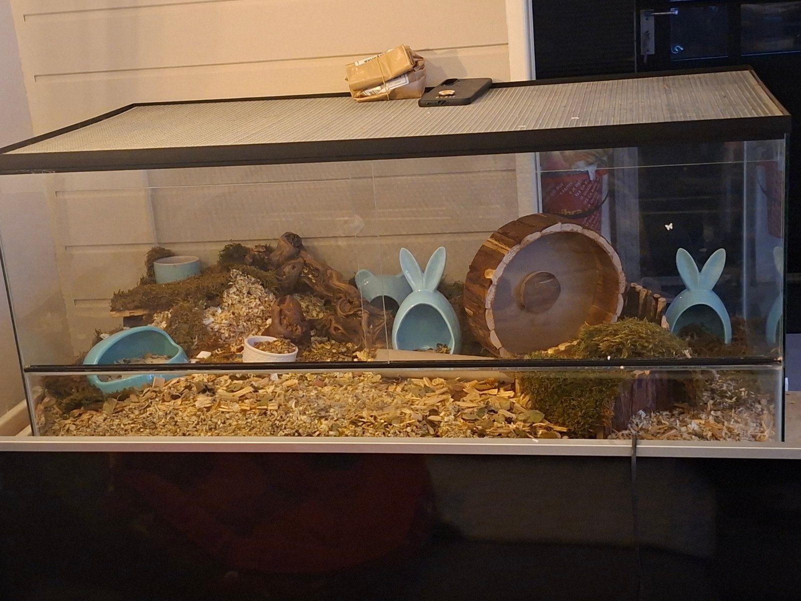 terrarium 100x50x50 met chineze hamster, Ophalen, 110 cm of meer, Overige typen, Zo goed als nieuw