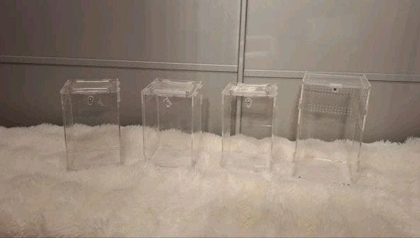 Kleinne terraria voor bv springspin, slings of bidsprinkhaan, Ophalen of Verzenden, Terrarium of Paludarium
