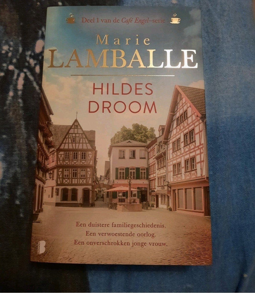Hildes Droom - Marie Lamballe (Deel 1 Café Engel-serie), Ophalen of Verzenden, Gelezen, Marie Lamballe, Nederland