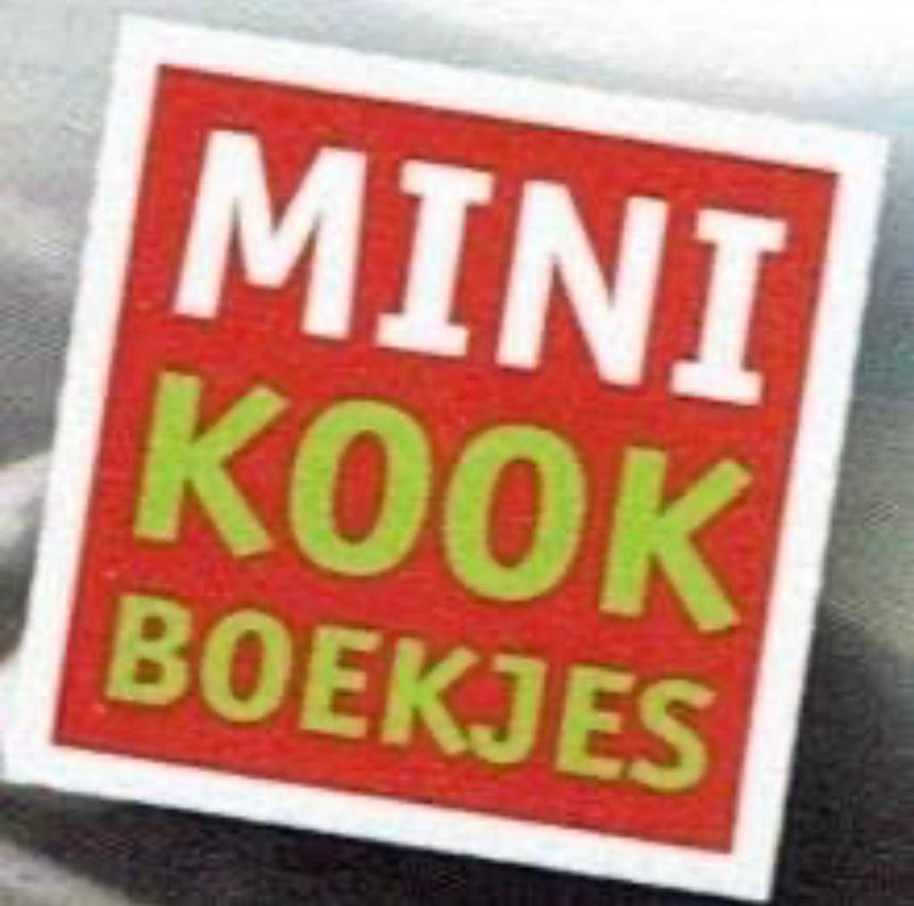 GEZOCHT! Mini kookboekjes: Streetfood en/of Koolhydraatarm, Ophalen of Verzenden, Zo goed als nieuw, Overige gebieden, Overige typen