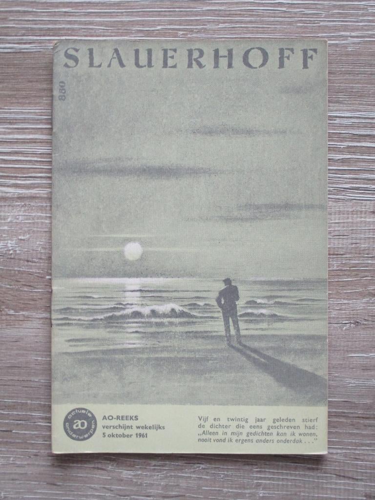 AO 880 Slauerhoff, Ophalen of Verzenden, Gelezen, Europa