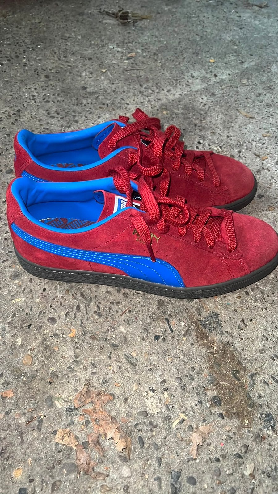 Puma schoen, Ophalen, Zo goed als nieuw, Schoenen