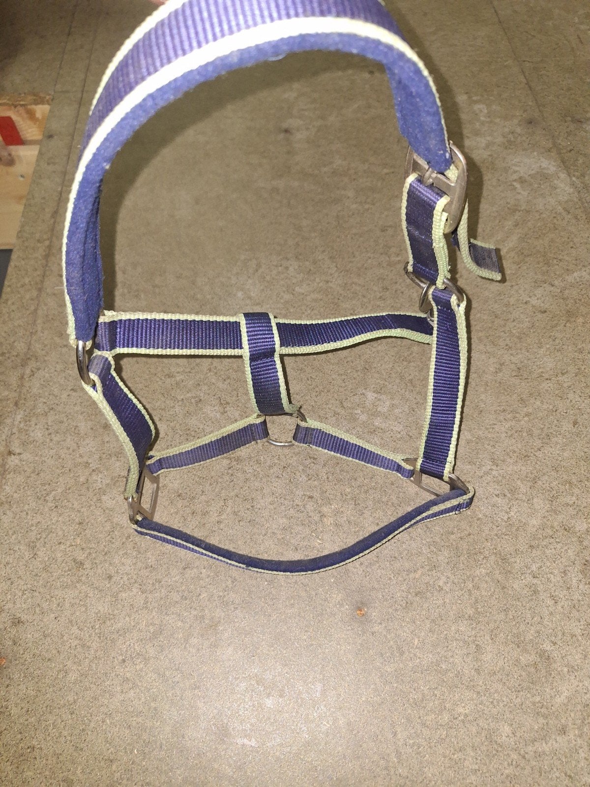 pony halster, Ophalen, Pony, Zo goed als nieuw, Halster