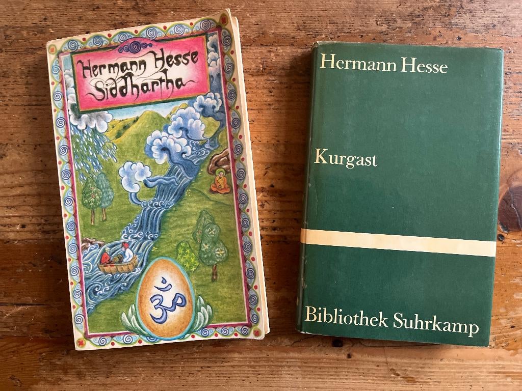 Hermann Hesse Kurgast / Siddharta, Boeken, Literatuur, Gelezen, Nederland, Ophalen of Verzenden