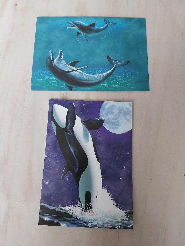 Mooie ansicht kaart met envelop orca NIEUW, Ophalen of Verzenden, 1980 tot heden, Ongelopen, Waterdier