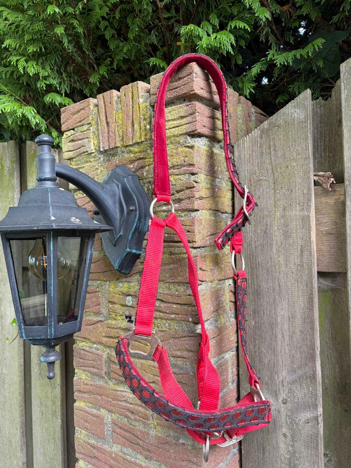 Diverse halsters, Dieren en Toebehoren, Verzenden, Recreatie, Meerkleurig, Zo goed als nieuw