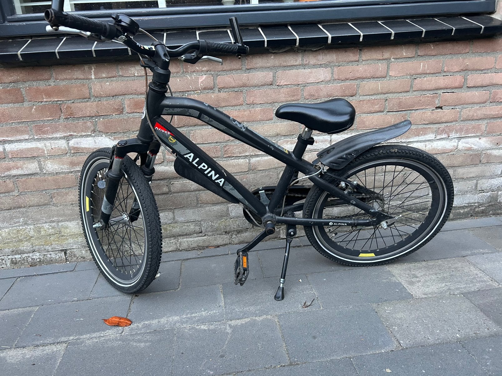 Alpina Duyst Trail mountainbike, Ophalen, Gebruikt, 18 inch
