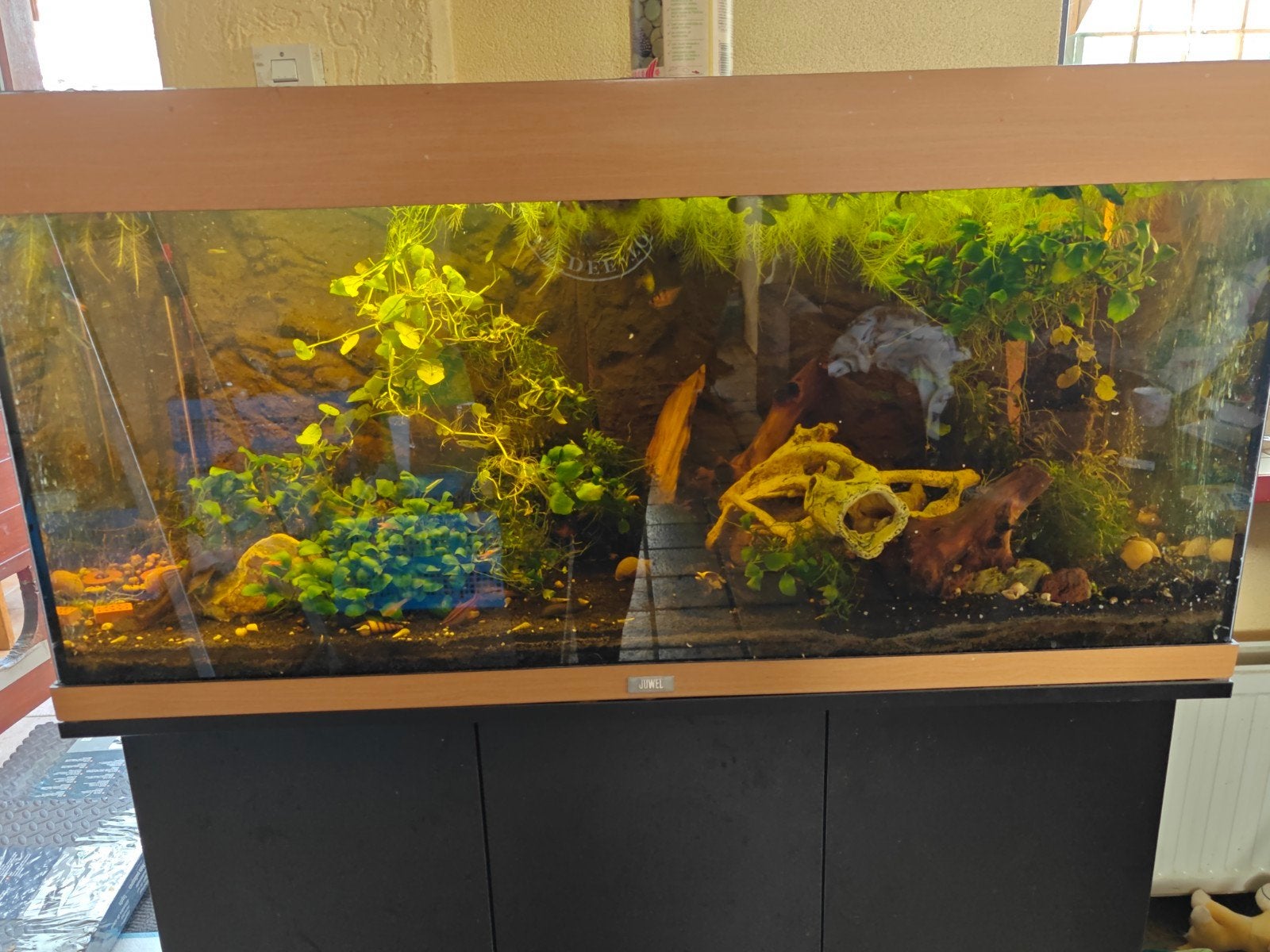 compleet juwel aquarium, Ophalen, Zo goed als nieuw, Gevuld zoetwateraquarium