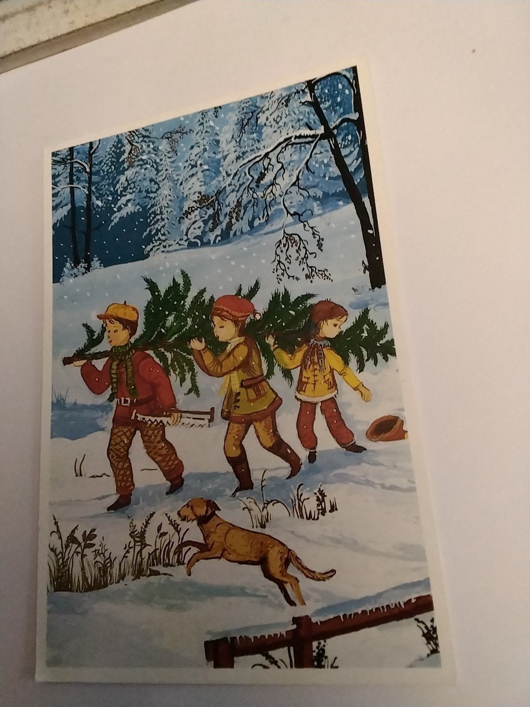 Removos  Kerstkaart - Kinderen met Kerstboom/ J. SIKORA, Ophalen of Verzenden, 1980 tot heden, Gelopen