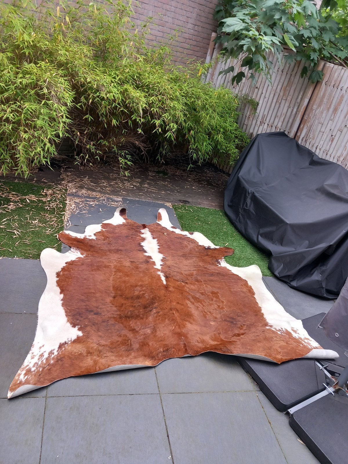 Koeienhuid vloerkleed, Ophalen, Gebruikt, Bruin, 150 tot 200 cm