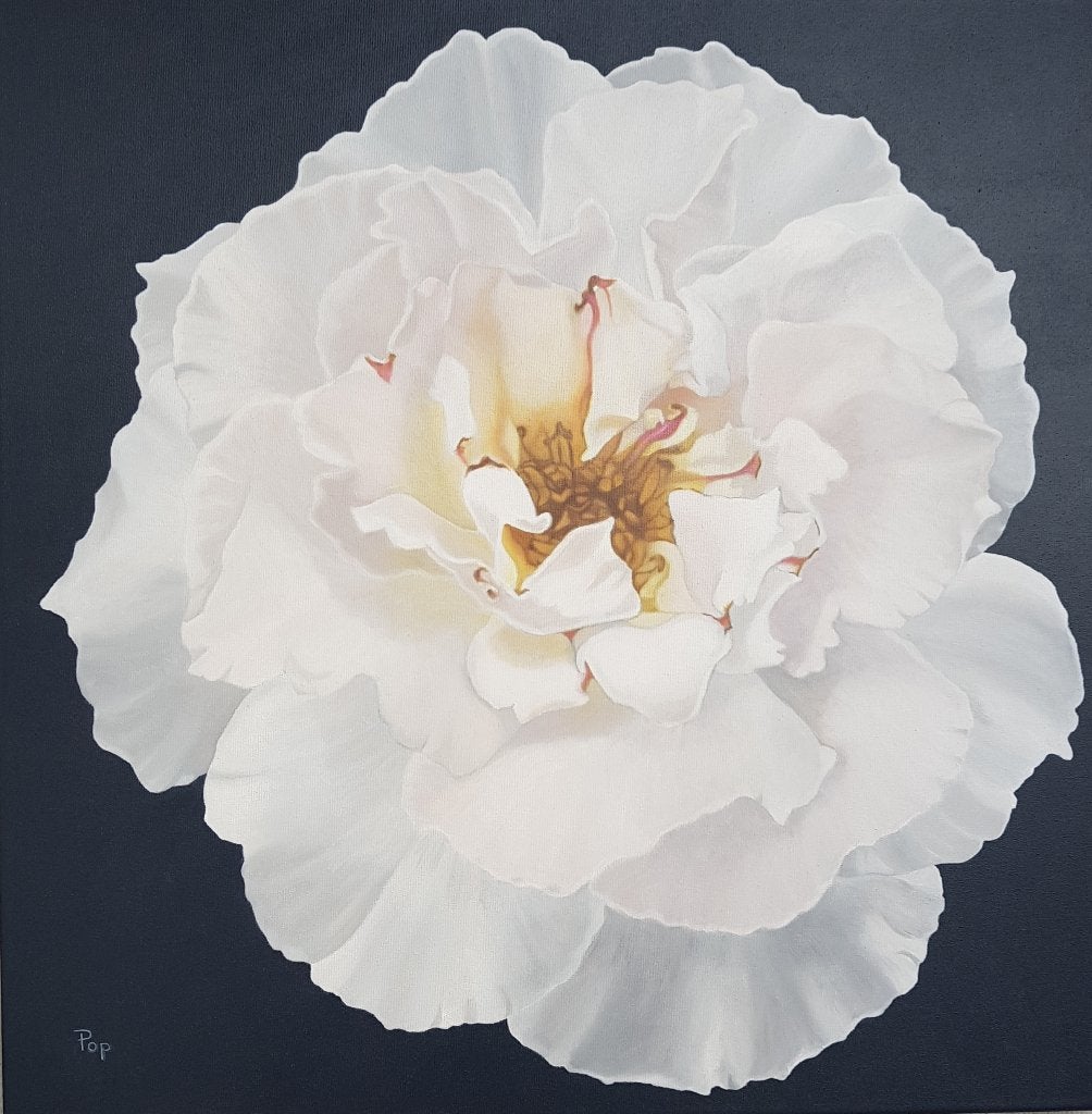 Schilderij Roos olieverf, Roos op doek, Bloem eigen werk Art, Ophalen of Verzenden, Op houten frame, Olieverf, Bloemen