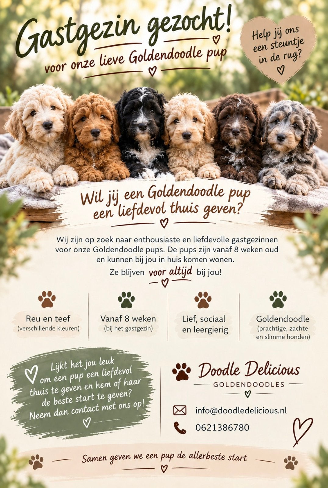 Liefsevolle gastgezinnen gezocht, CDV (hondenziekte), 8 tot 15 weken, Groot, Meerdere