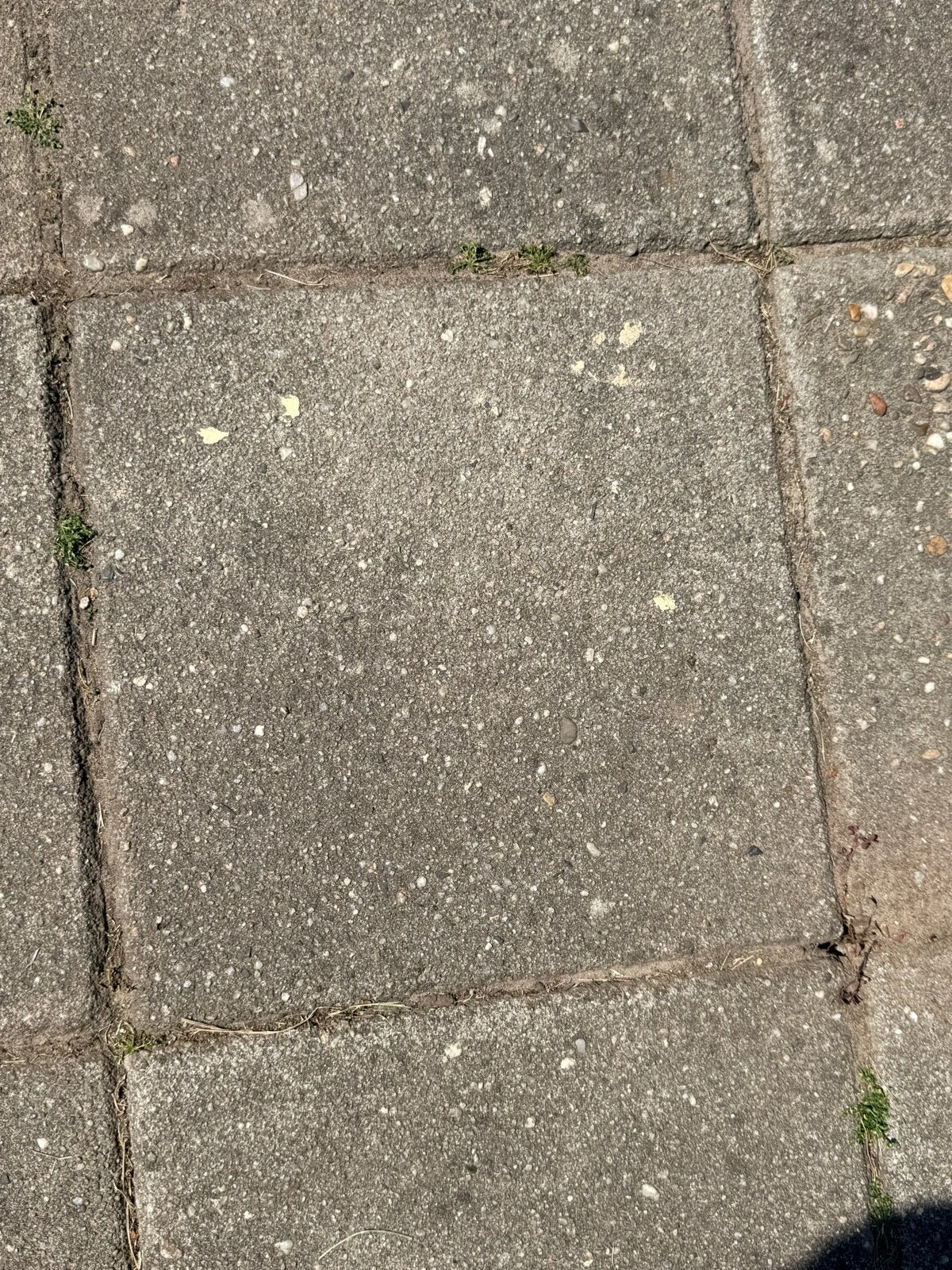 Gratis 30x30 tegels, Tuin en Terras, Ophalen, Gebruikt, 10 m² of meer, Beton