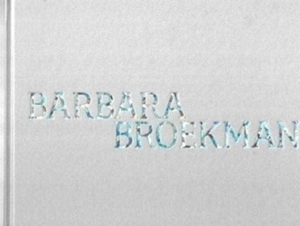 Barbara Broekman Flatland Galery, Boeken, Kunst en Cultuur | Beeldend, Zo goed als nieuw, Schilder- en Tekenkunst, Ophalen of Verzenden
