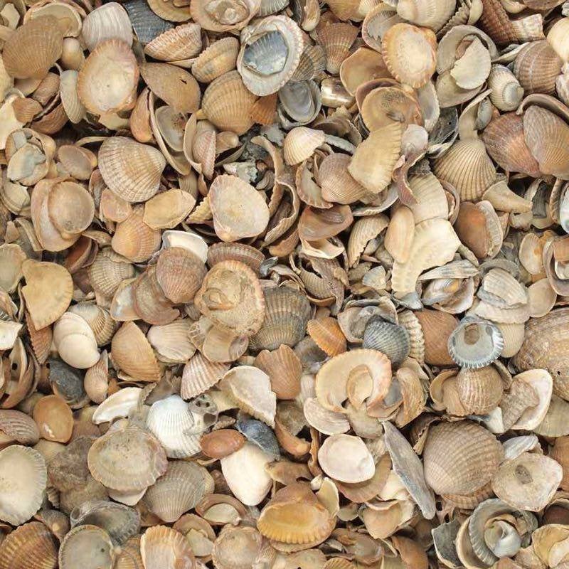 Schelpen gebroken scheloen, grit of split, Tuin en Terras, Ophalen of Verzenden, Nieuw, Kalksteen, Split