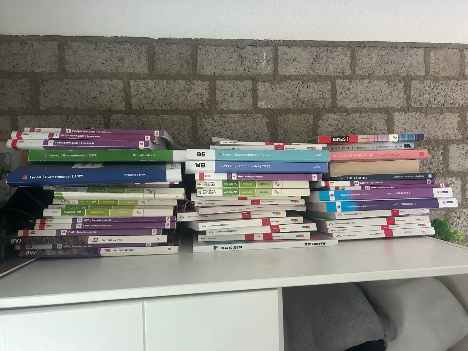 Samenvattingen Examenbundels en Boeken voor diverse vakken, Ophalen, Gelezen, Overige niveaus, Overige vakken