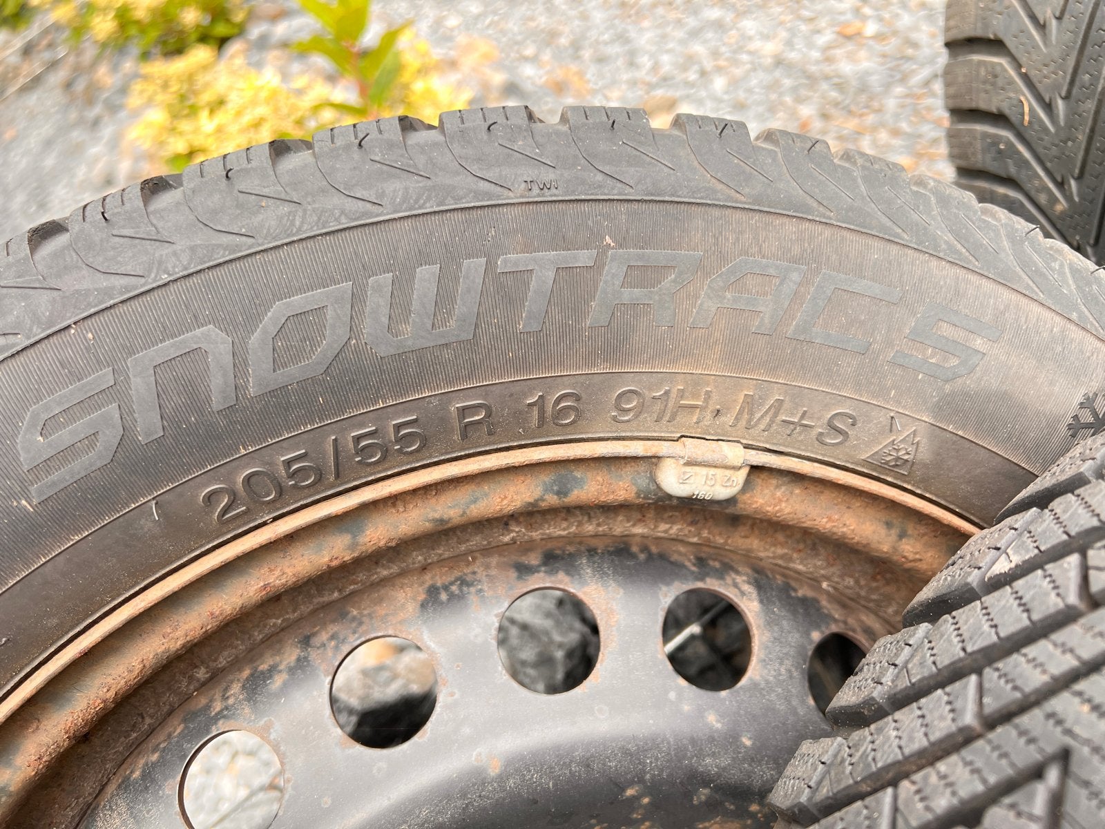 Winterbanden op stalen velgen  (205/55 R16), Auto-onderdelen, Banden en Velgen, Ophalen, Gebruikt, 16 inch, Banden en Velgen
