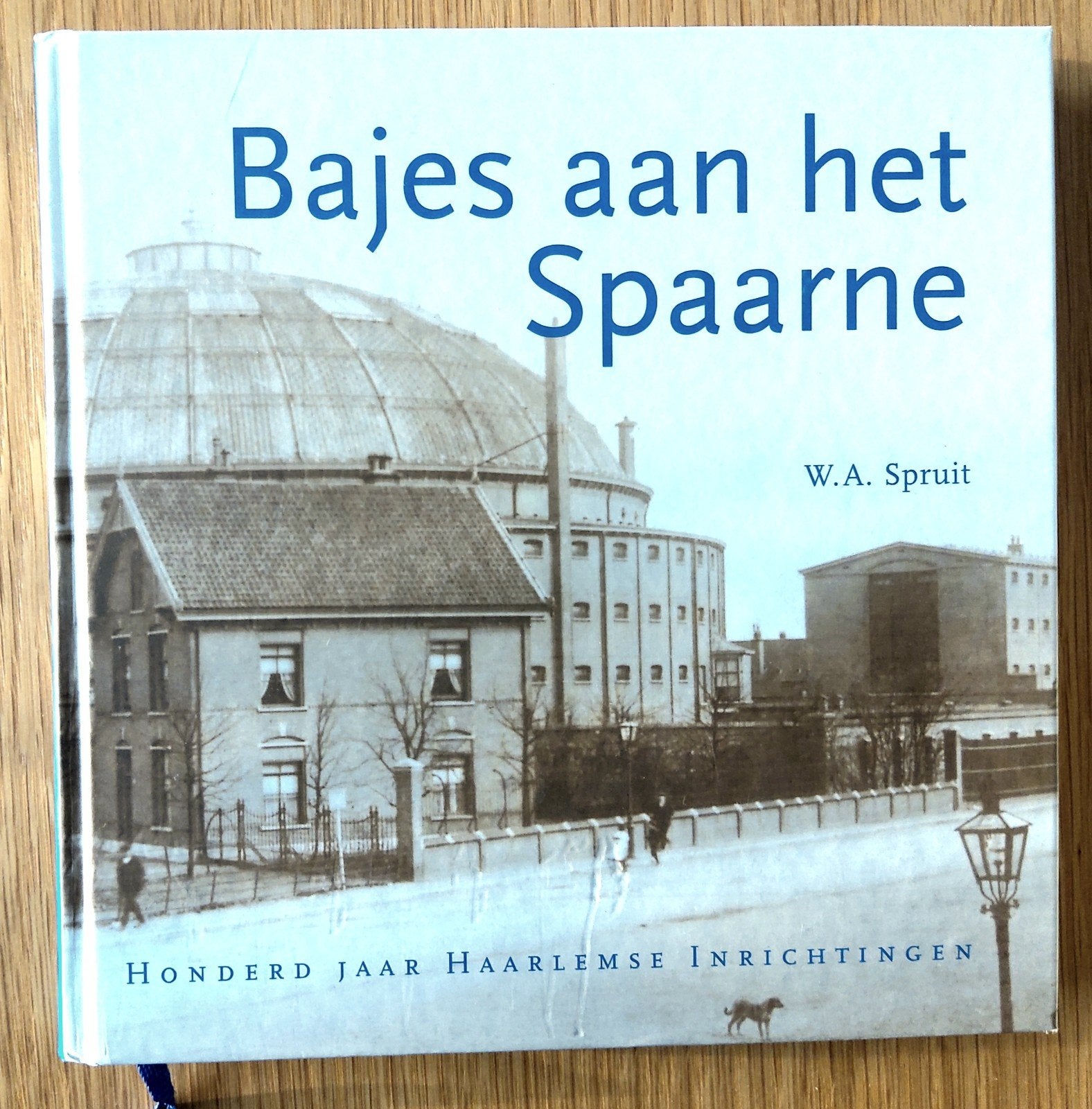 Bajes aan het Spaarne. 100 jaar Haarlemse Inrichtingen., Maatschappij en Samenleving, Ophalen of Verzenden, Zo goed als nieuw