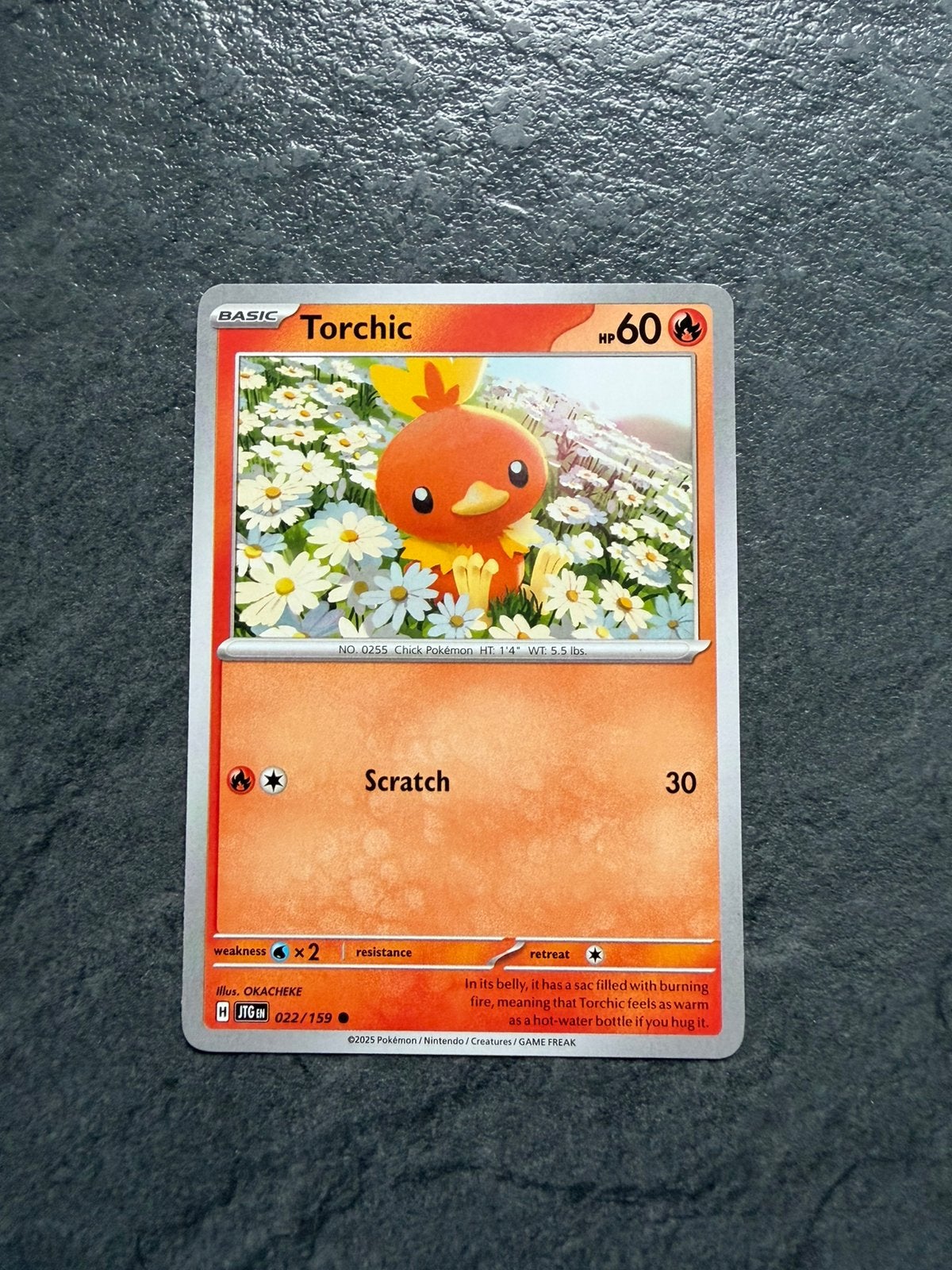 Torchic, Ophalen of Verzenden, Zo goed als nieuw
