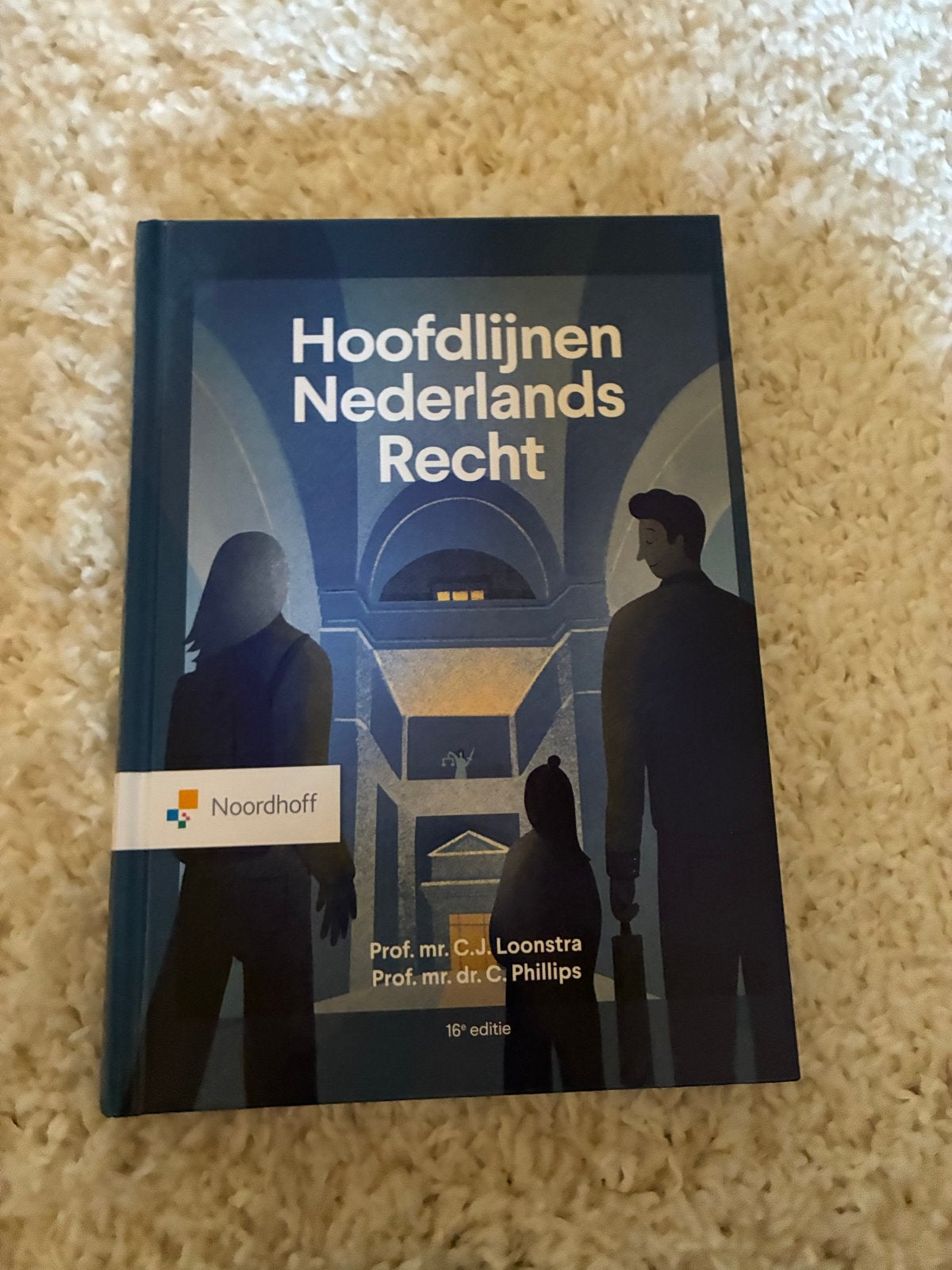 Hoofdlijnen Nederlands Recht - 16e editie, Boeken, Studieboeken en Cursussen, Zo goed als nieuw, HBO, Gamma, Ophalen of Verzenden