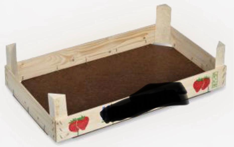 Aarbeien kisten 30x50, Zakelijke goederen, Ophalen